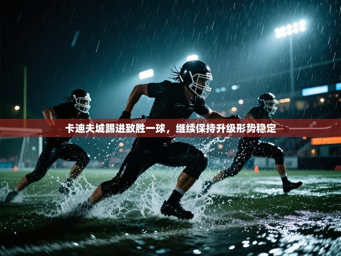 开云体育赛事比分直播-卡迪夫城踢进致胜一球，继续保持升级形势稳定