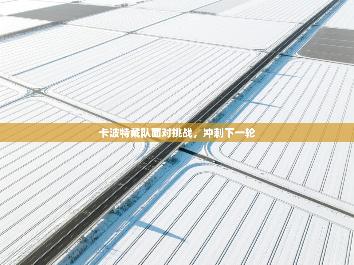 开云手机版-卡波特戴队面对挑战，冲刺下一轮