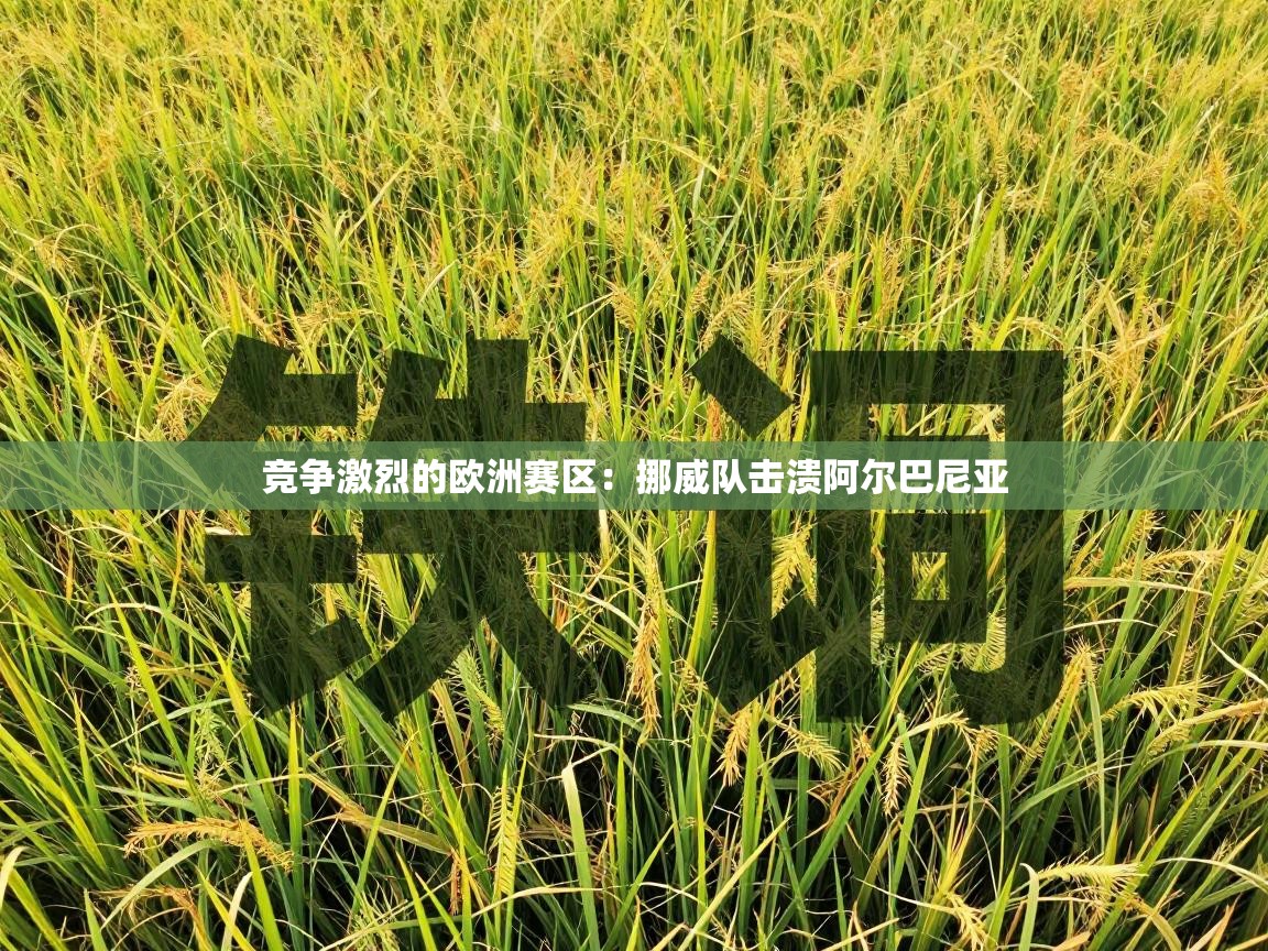 开云注册-竞争激烈的欧洲赛区：挪威队击溃阿尔巴尼亚  第3张